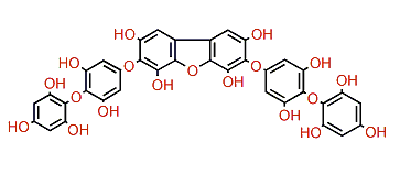 Dicaval B